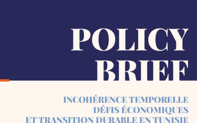 Incohérence temporelle défis économiques et transition durable en Tunisie par Elyes Jouini.