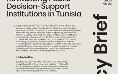 Policy brief : Renforcer l’efficacité des structures publiques d’aide à la décision en Tunisie.