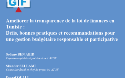 Dans le cadre du deuxième édition du programme de mentorat de la FERDI, l&rsquo;association ATGF a édité un policy brief.