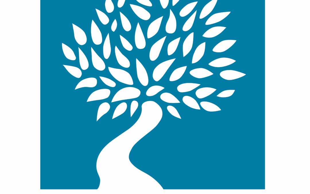 La fondation SMU bénéficiaire du troisième appel à projets édite une série de policy briefs.