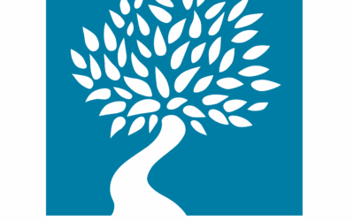 La fondation SMU bénéficiaire du troisième appel à projets édite une série de policy briefs.